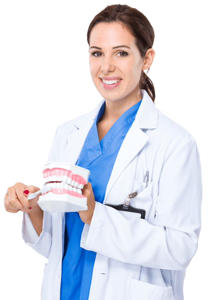 Odontóloga mostrando el cepillado sobre un modelo dental